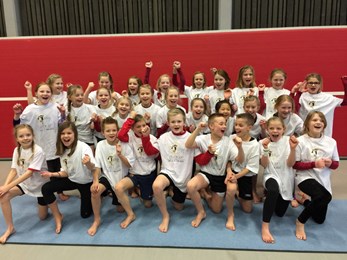 SPLITT 2015